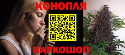 крисы Северобайкальск