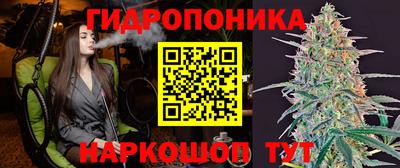 крисы Северобайкальск