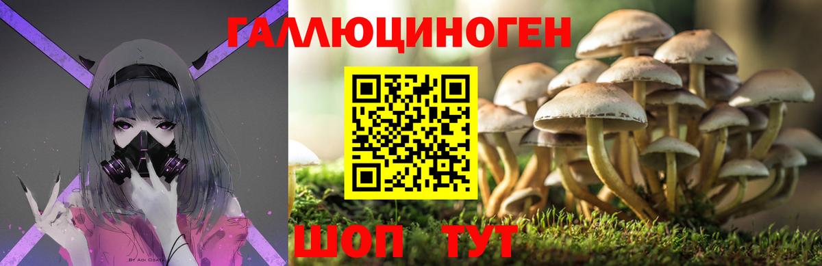 Галлюциногенные грибы мицелий  купить наркотики сайты  Орехово-Зуево  Вход с VPN 
